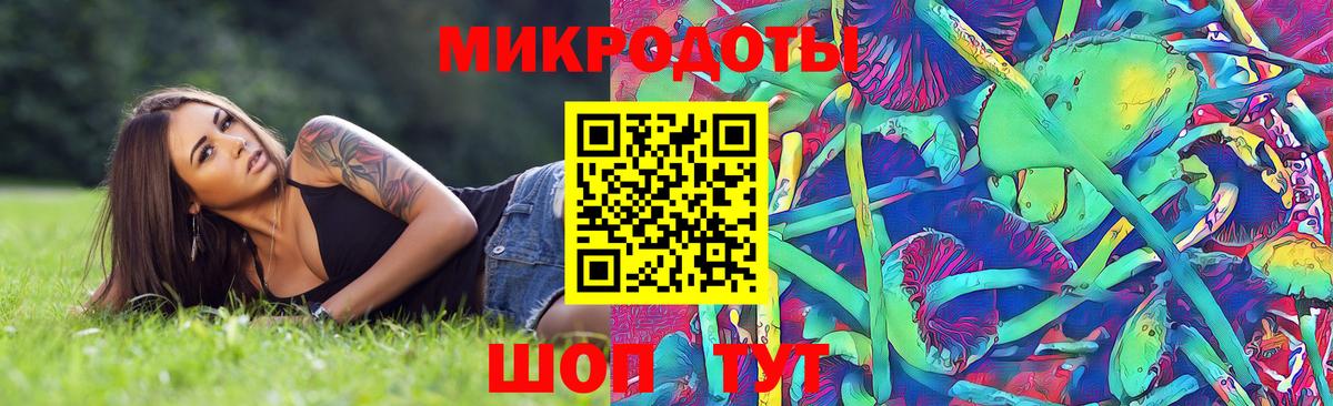 Галлюциногенные грибы Magic Shrooms Углич
