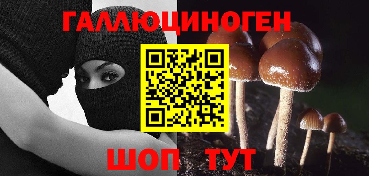 Углич  Псилоцибиновые грибы Cubensis  Галлюциногенные грибы ЛСД  Вход с VPN 