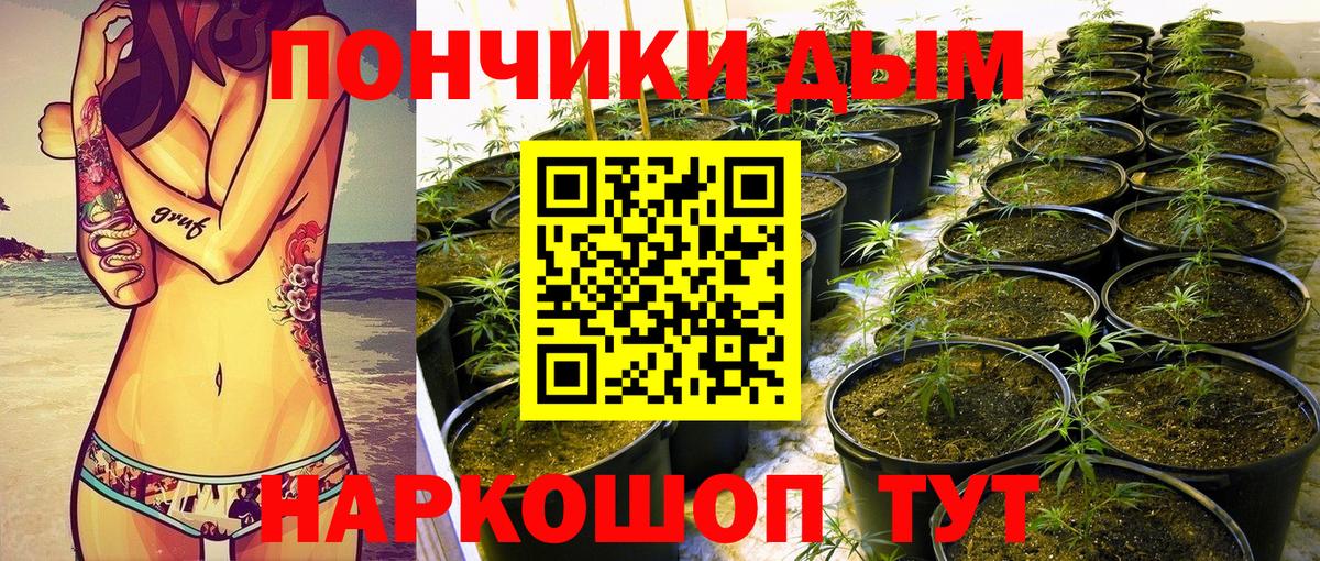 Канабис тримм  Марихуана OG Kush  Вход с VPN  МАРИХУАНА семена  Углич  Канабис VHQ 